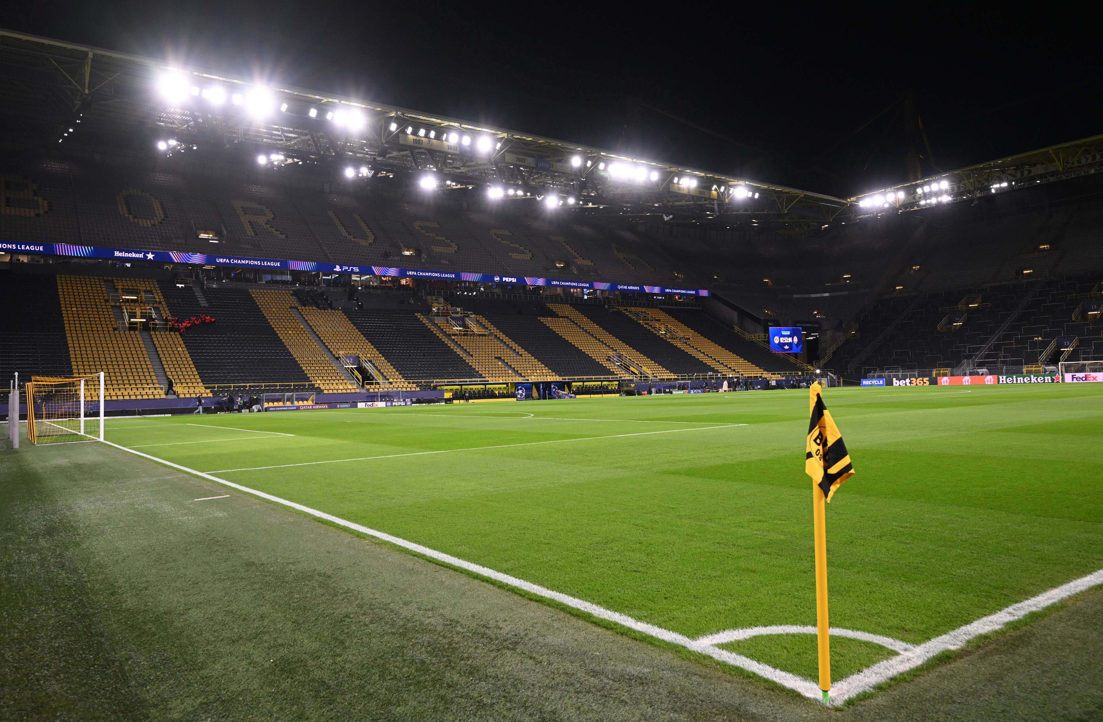 国家队的排 国家队的排