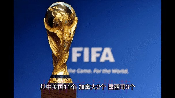全面解析世界杯外围排行全站动态